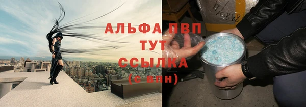 стафф Аркадак