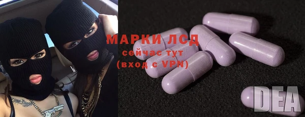 стафф Аркадак