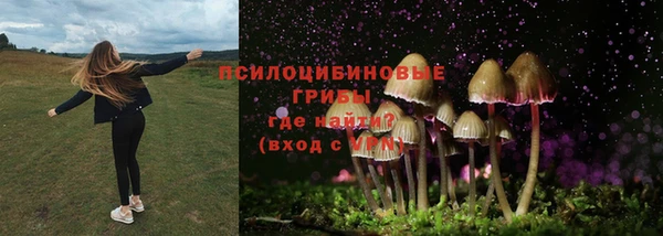 ALPHA PVP Баксан