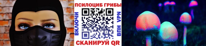 кракен вход Учалы Галлюциногенные грибы Cubensis купить наркотик